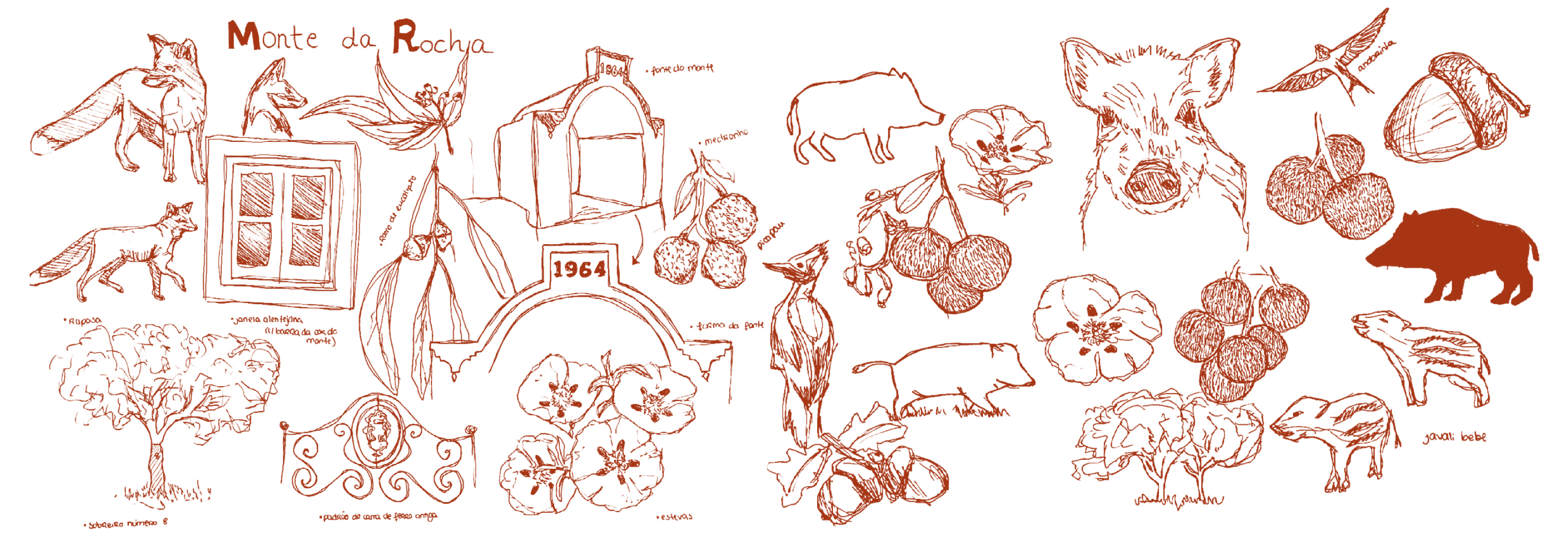 Monte da Rocha project brand system